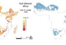 Rapport 2024 de l’IRENA sur les investissements et le financement des renouvelables en Afrique